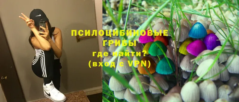 Псилоцибиновые грибы Magic Shrooms  OMG ССЫЛКА  маркетплейс формула  Павловский Посад 